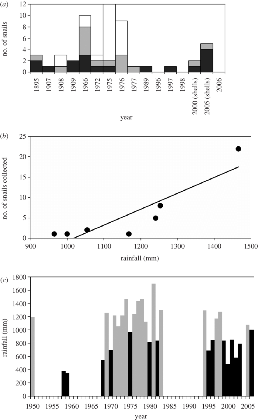 Population Structure Of R - Juvenile (850x1379), Png Download
