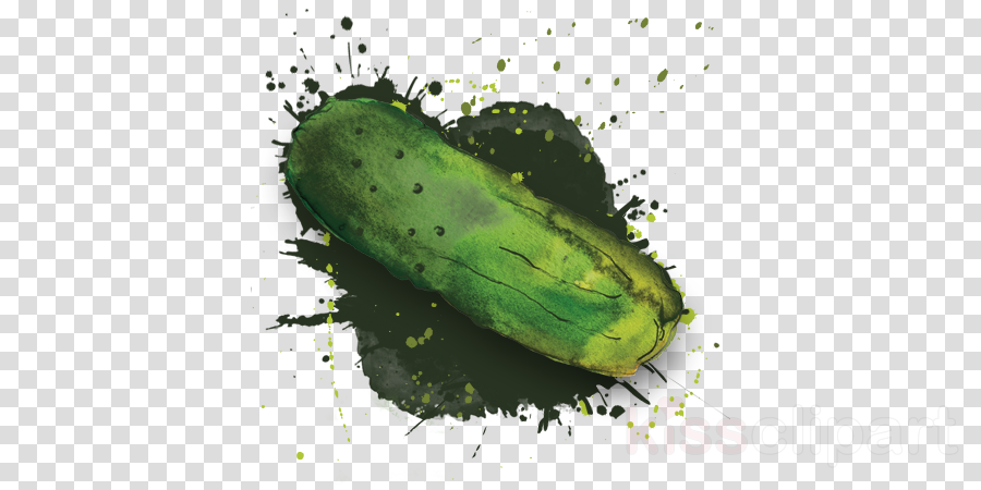 Download Transparent Video Play Button Clipart Video - Clip Art (900x450), Png Download