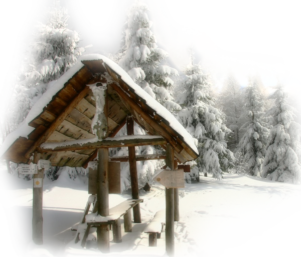 One And Only One Gif Photo, One And Only, Winter Wallpapers - Snow (600x513), Png Download