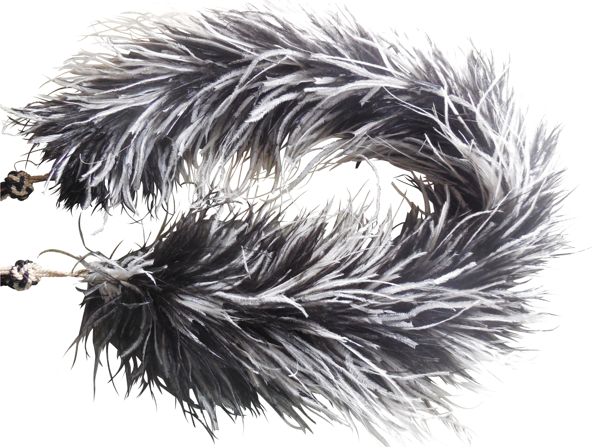 Rare Victorian Ostrich Feather Boa Found At Www (2043x2043), Png Download