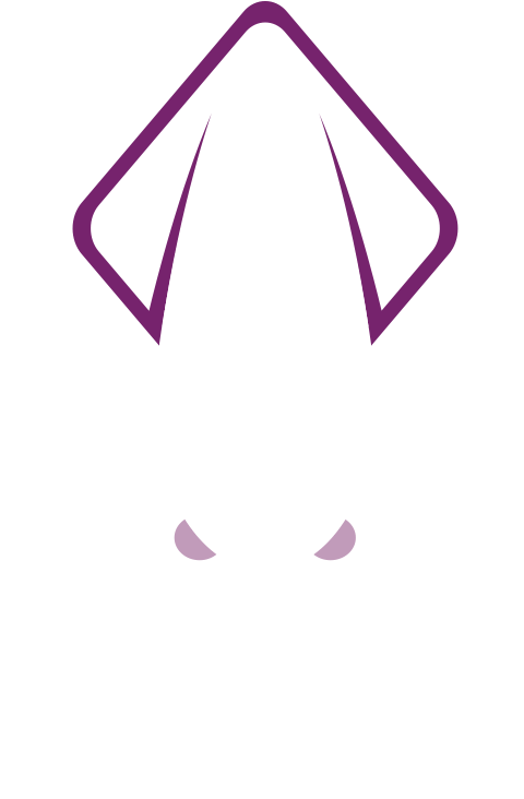 Squid Studio - - Illustration (768x768), Png Download