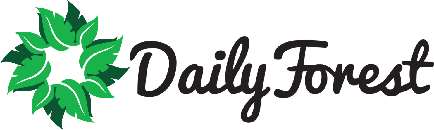 Dailyforest - Journal Daily: Personalized Lined Blank Journal Book, (1484x445), Png Download