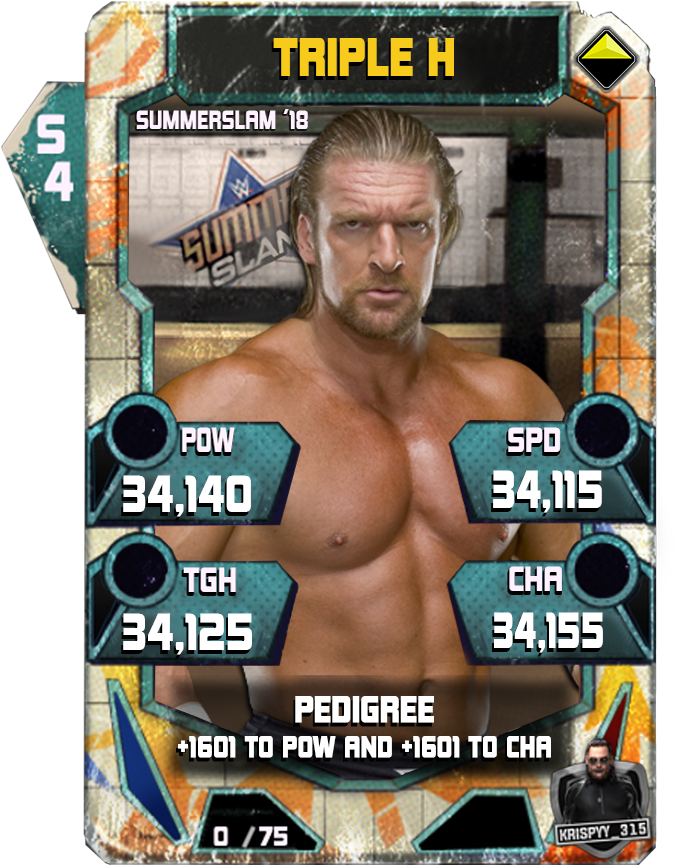 Summerslam (2015) (896x1080), Png Download