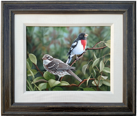 Rose Breasted Grosbeaks - Painting (600x600), Png Download