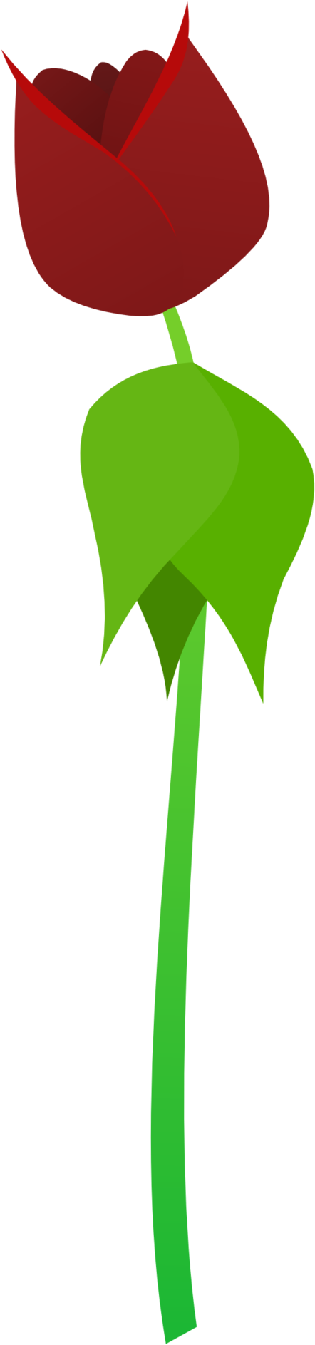 Rose By Thegoldenbox On Clipart Library - Drawing (1024x2048), Png Download