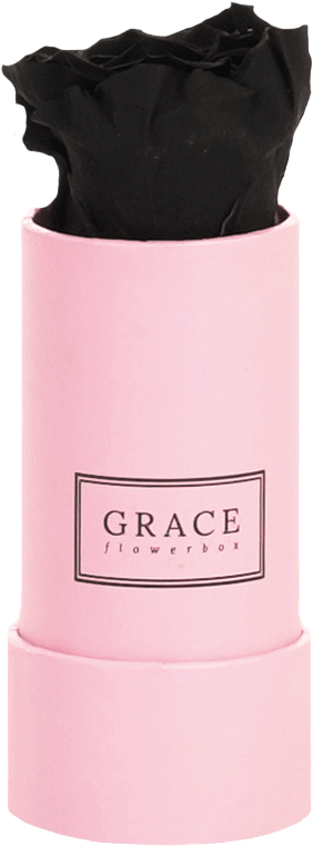 Perfume (580x1200), Png Download