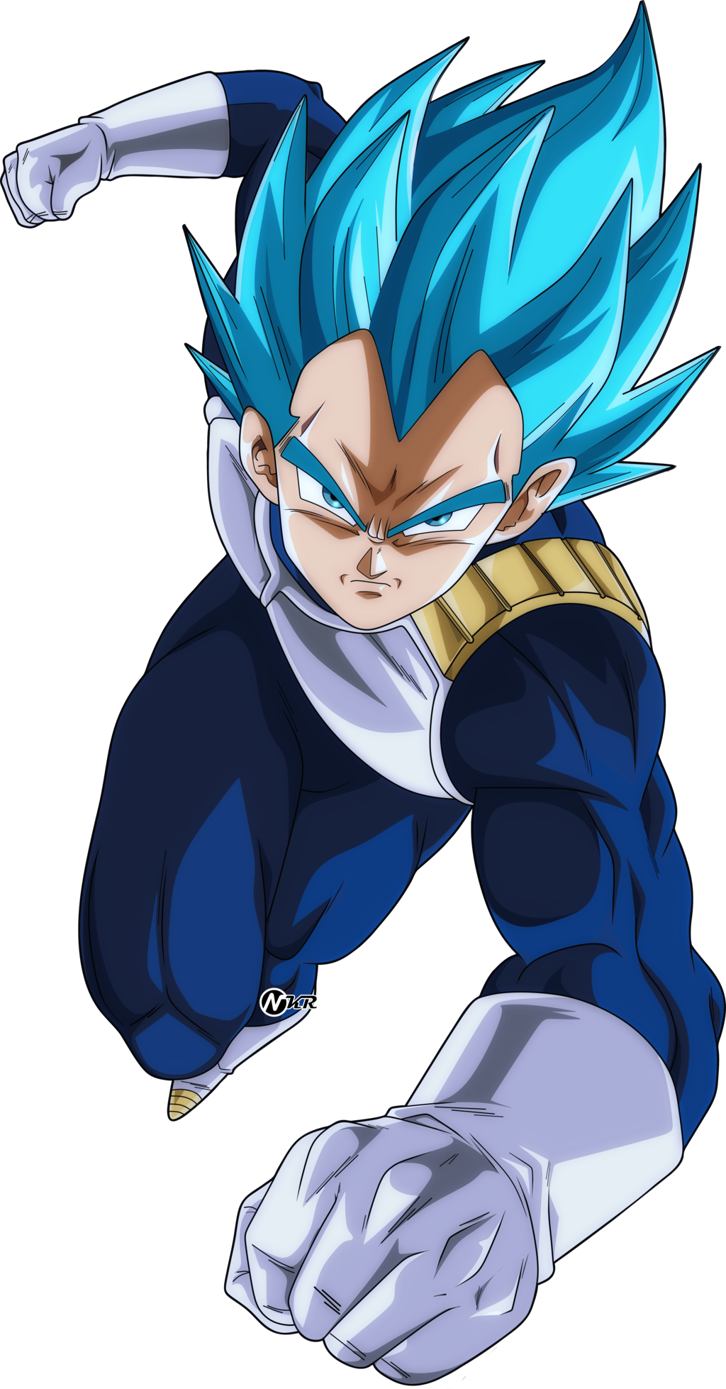 Vegeta Ssb Png Banner Free Download (1024x1958), Png Download
