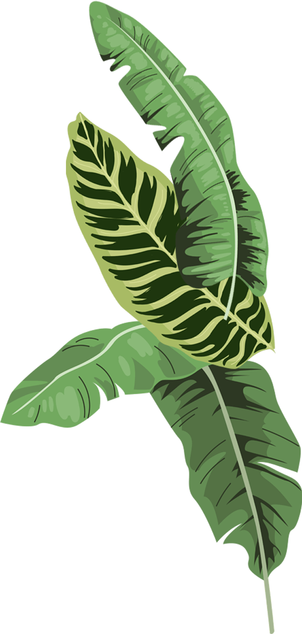Say Hello - Last Name Basis (600x1259), Png Download
