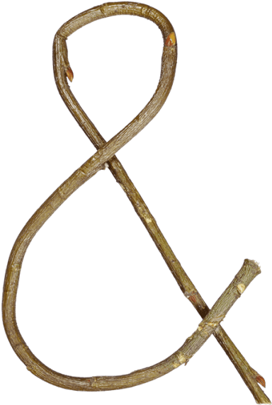 Single Twig Font - Brass (595x595), Png Download