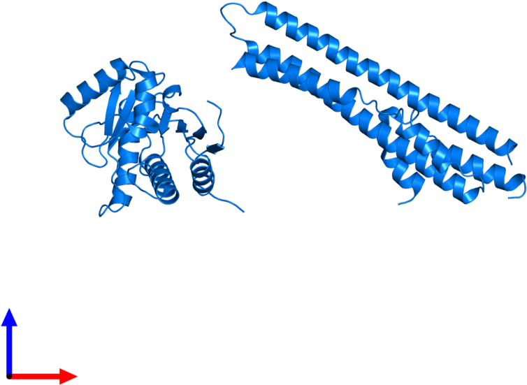 <div Class='caption-body'>pdb Entry 5lnc Contains 1 (800x800), Png Download