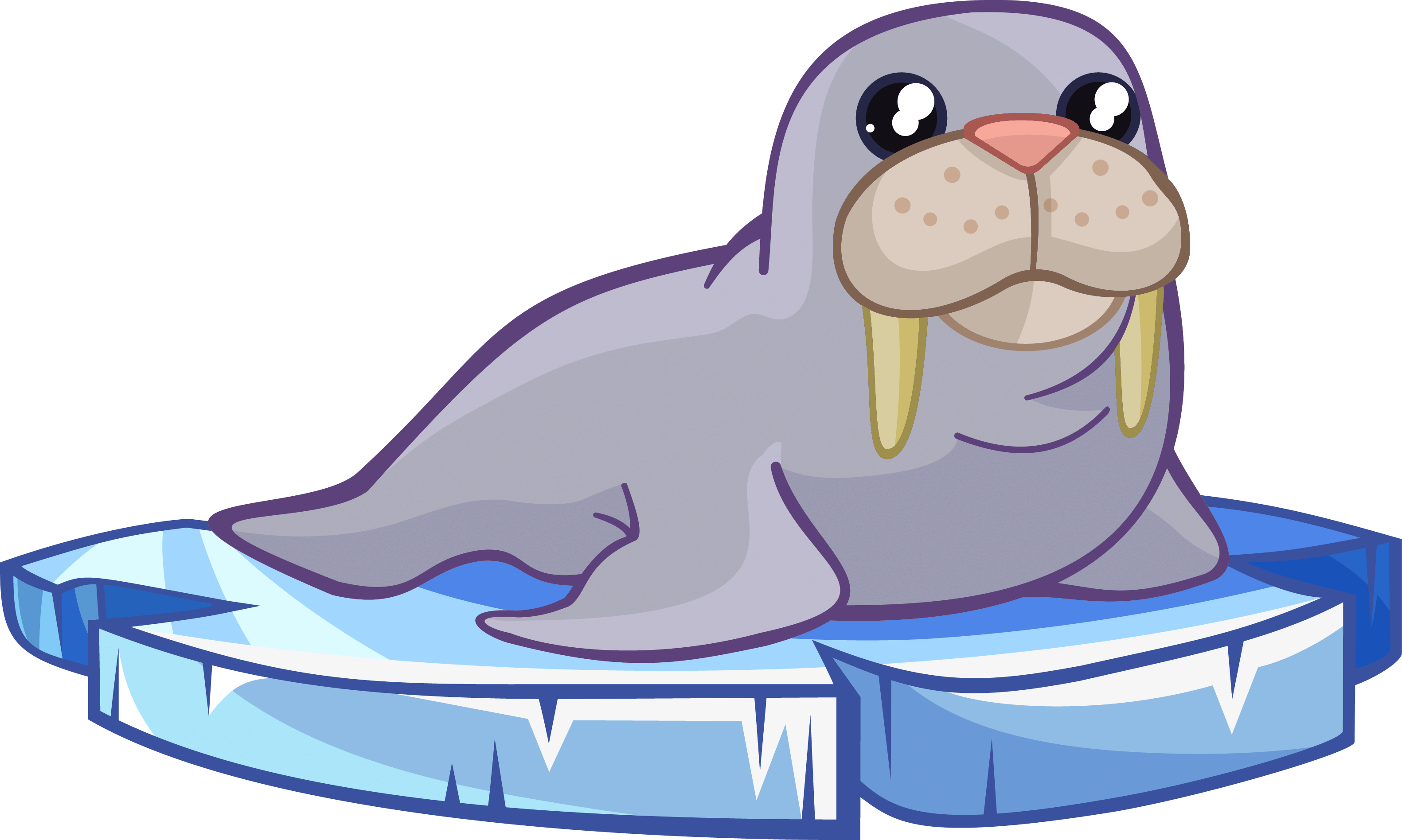 Download Walrus - Free - Walrus Clip Art Free PNG Image with No ...