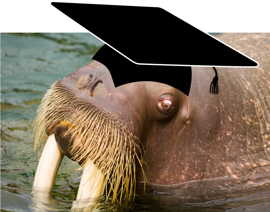 Shining With All Its Might - Book On Demand Ltd. Walrus By Russell Jesse Cohn Ronald (940x835), Png Download