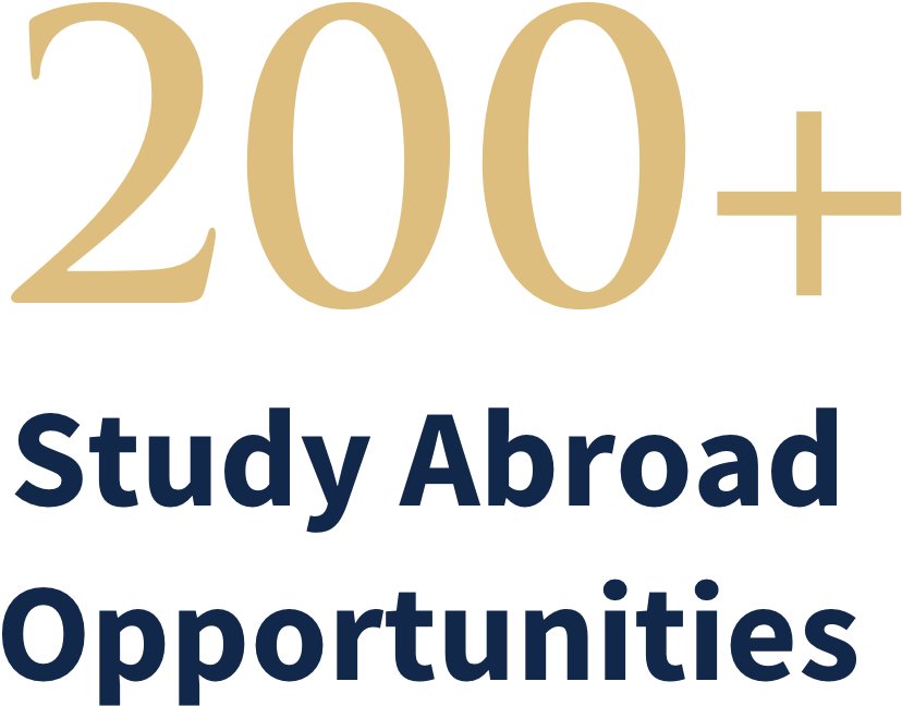 Study Abroad In One Of Many Available International - Study Abroad Promotion (948x840), Png Download