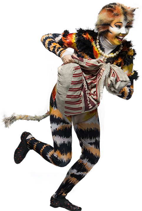 L14 Rumple - Cats The Musical Png (500x717), Png Download