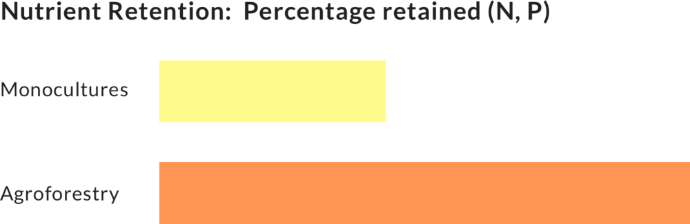 Nutrient Loss - Nutrient (1000x326), Png Download