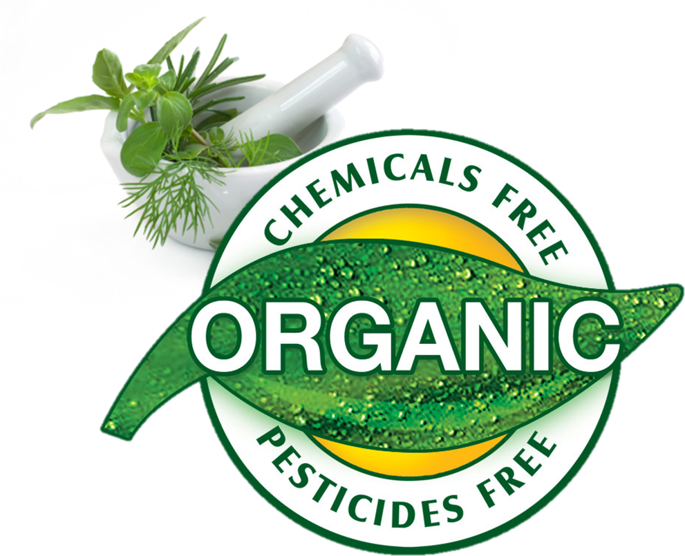 Organic. Органическая продукция логотип. Органик продукт. Органик круглый логотип. Органик продукт логотип