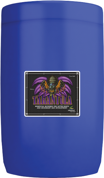 Home - Bee (800x800), Png Download