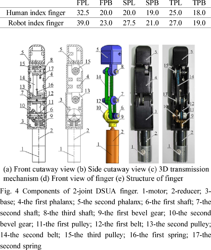 Dimensions Of The Designer's Right Hand Index Finger - One Motor Two Fingers (740x879), Png Download