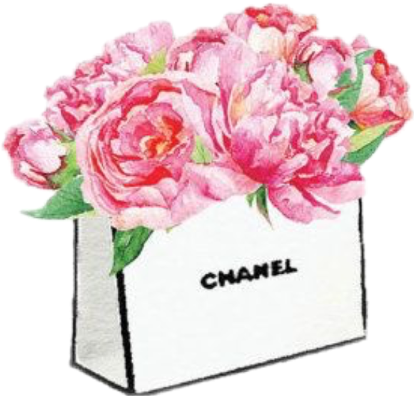 Marmont Hill 'peonies' By Amanda Greenwood Framed Painting (580x557), Png Download