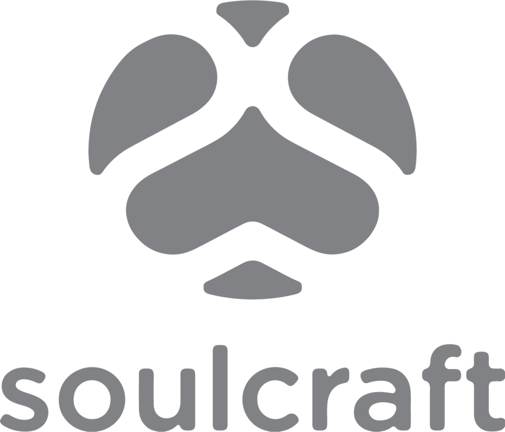 Vsoulcraft Logo Gray 4in (1000x857), Png Download