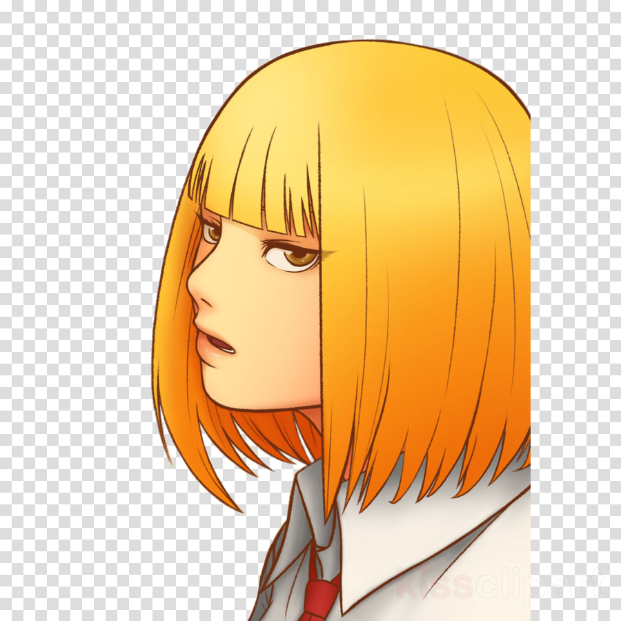 Hair Clipart Human Hair Color Hair Coloring Brown Hair - Feedback And Reviews Icon (900x900), Png Download