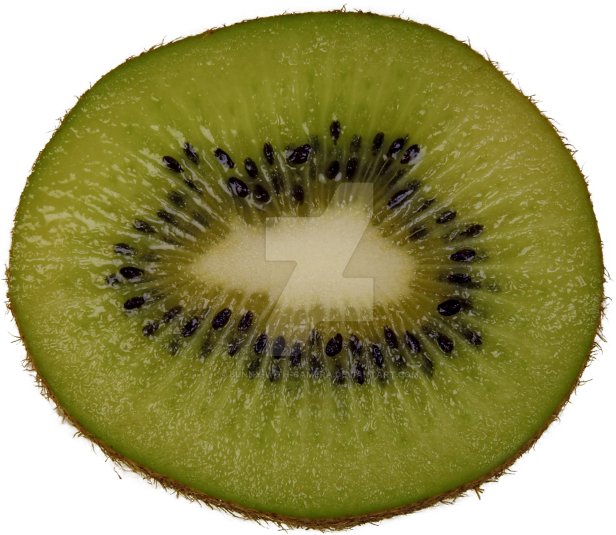 Kiwi Slice Png Png Royalty Free Download - Portable Network Graphics (1024x768), Png Download