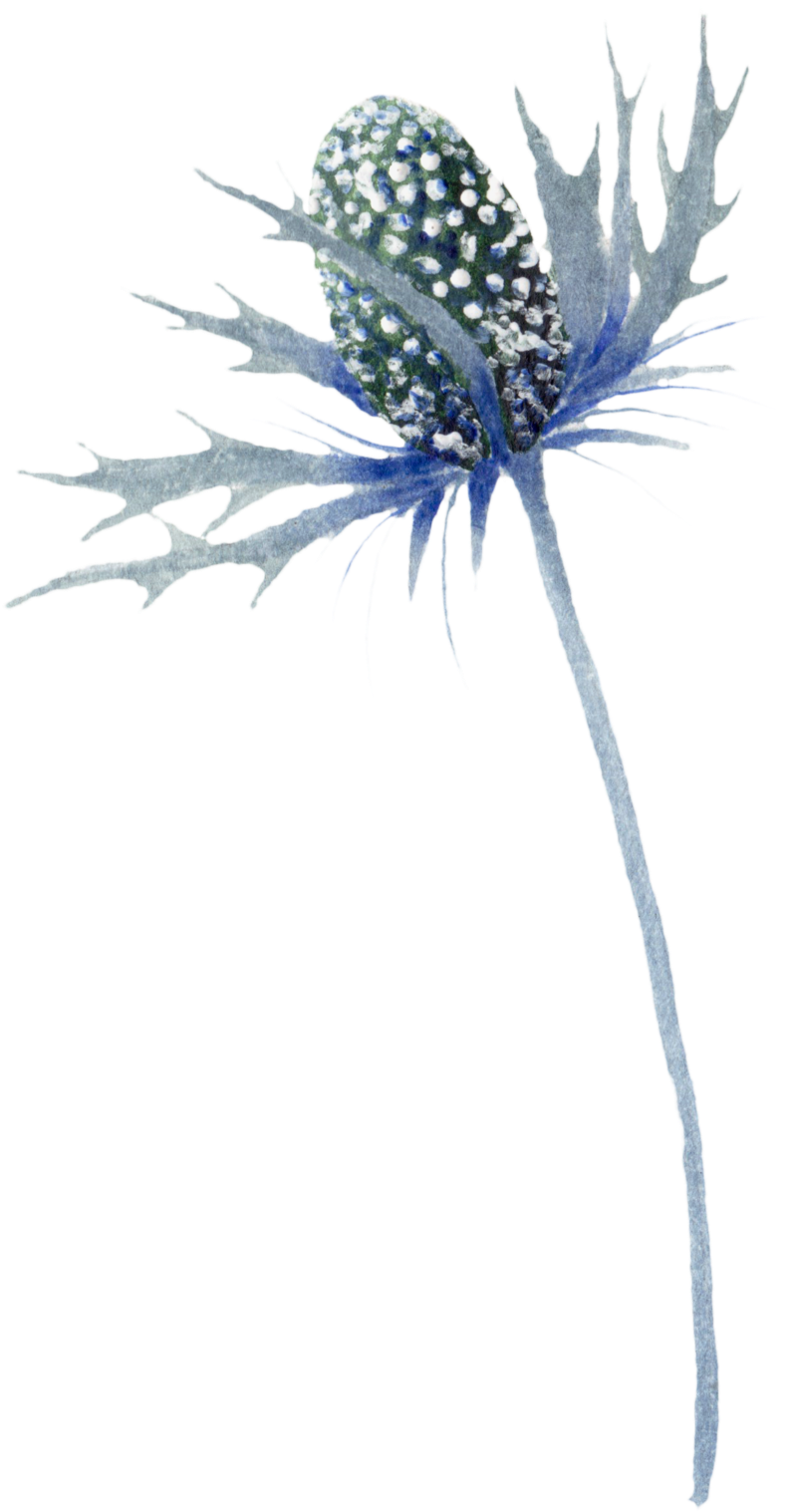 Portable Network Graphics (1000x1962), Png Download