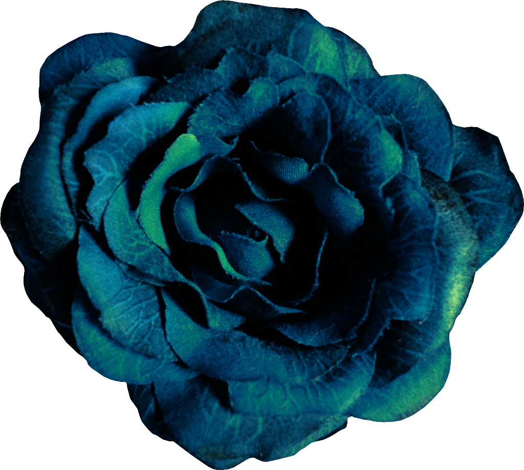 Hand Painted Noble Dark Blue Flowers Png Transparent - Vector Graphics (1024x918), Png Download