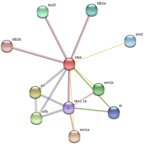 Circle (976x519), Png Download