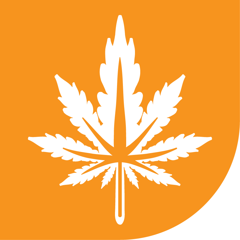 Girl Scout Glue - Emblem (818x818), Png Download