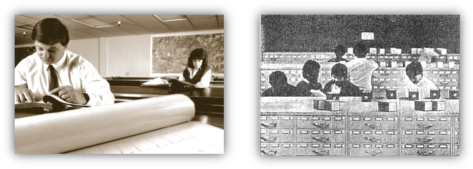 Manual Title Plants - Title (943x343), Png Download