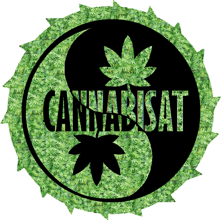 Cannabisat 2 Transparent - Emblem (728x728), Png Download