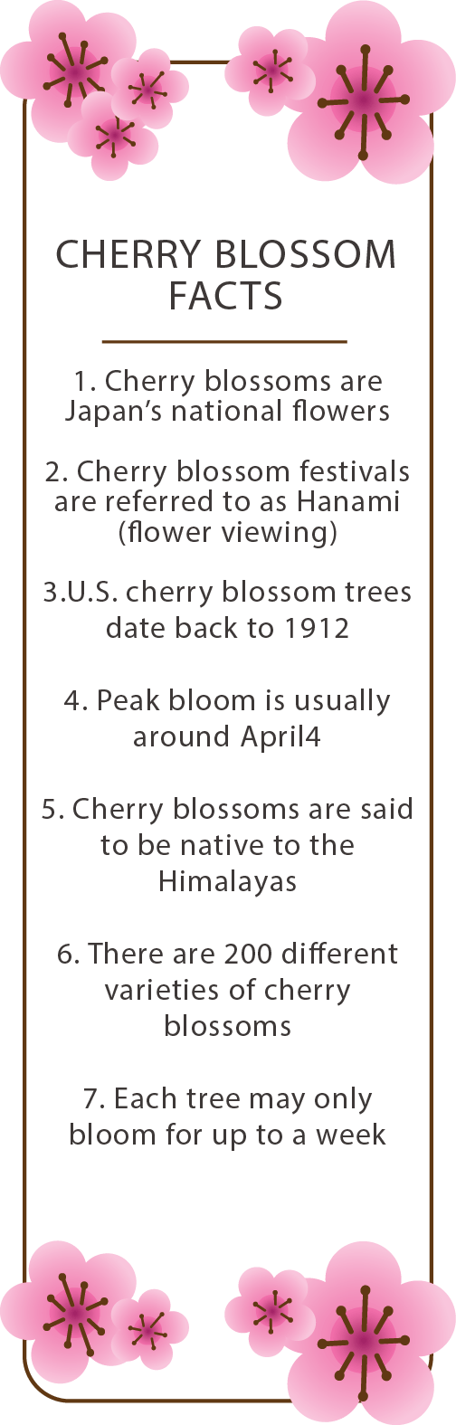 Japanese Culture Club Welcomes Spring With Its Cherry - 2018 Calendar Pretty Printable (504x1575), Png Download