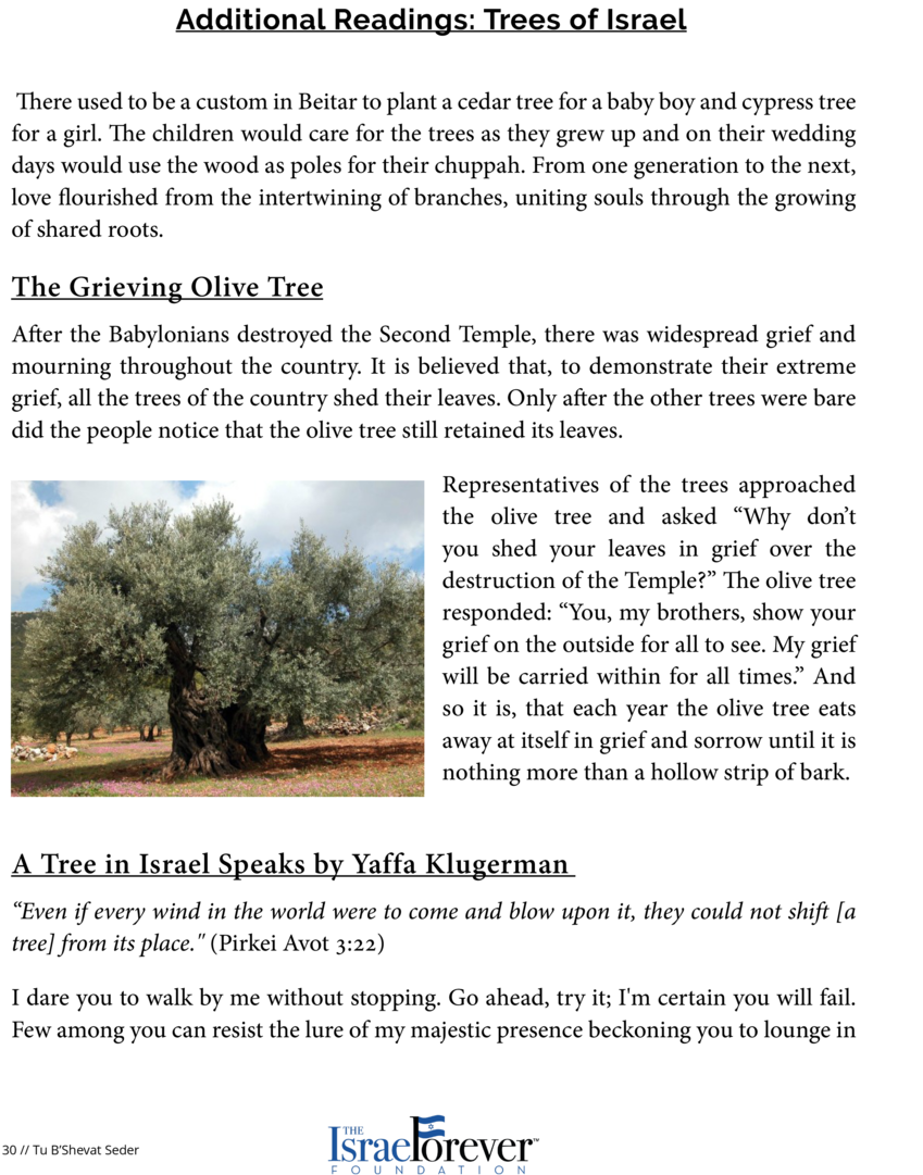 Additional Readings Trees Of Israel The Shade By My - History (900x1164), Png Download