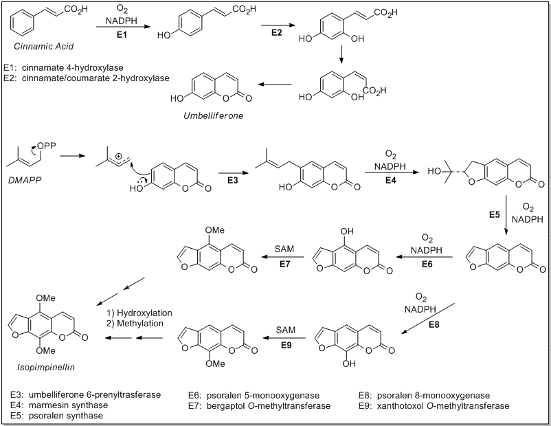 File - Chem257 - 2 - Chemistry Functional Groups (808x627), Png Download