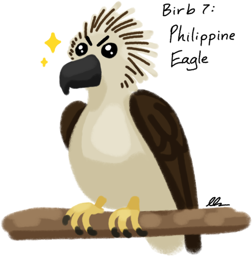Graphic Black And White Decembirb Philippine Eagle - Cockatoo (894x894), Png Download