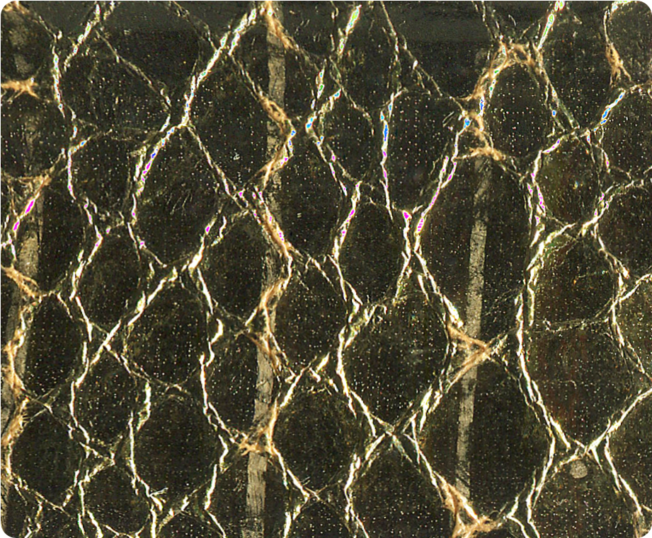 Quick View - Snake (1100x825), Png Download