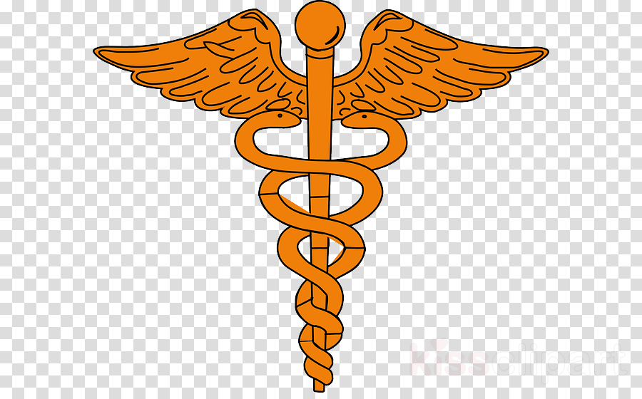 Caduceus Vector Png Clipart Staff Of Hermes Caduceus - Medicina - Free ...
