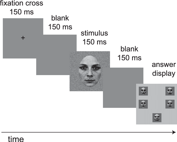 Sequence Of Displays In A Typical Trial - Skull (753x607), Png Download