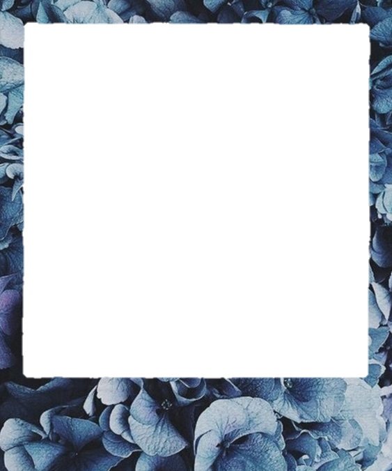 Polaroid Png (563x676), Png Download