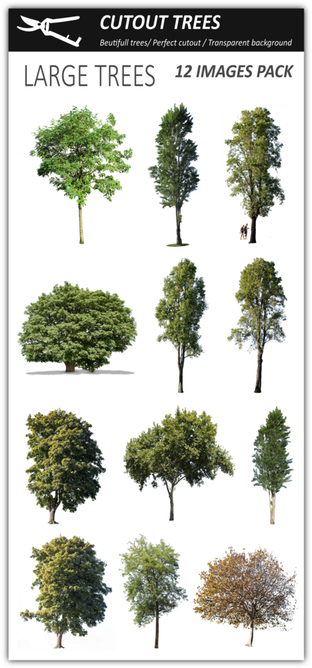 12 Large Trees Pack - Tree (499x1024), Png Download