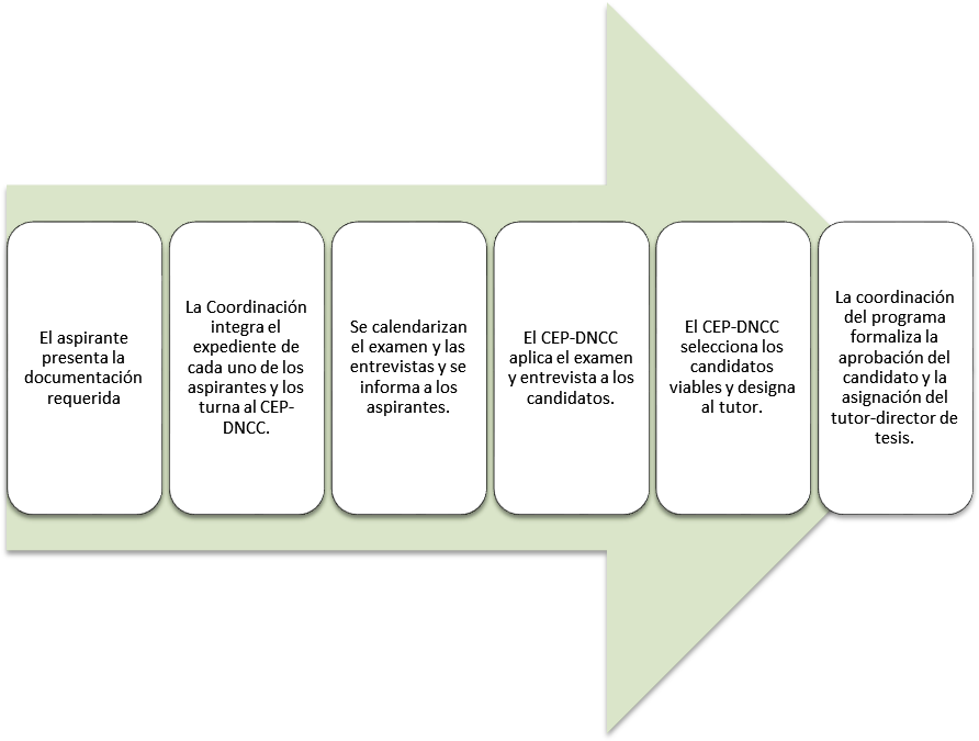 La Coordinación Integra El Expediente De Cada Uno De - Illustration (899x680), Png Download