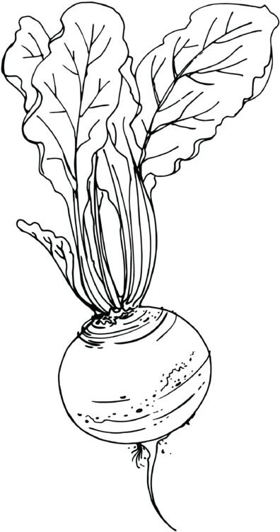 Biology degree image