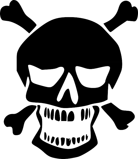 Ryanlerch Skull And Crossbones - Horror Clipart (432x500), Png Download