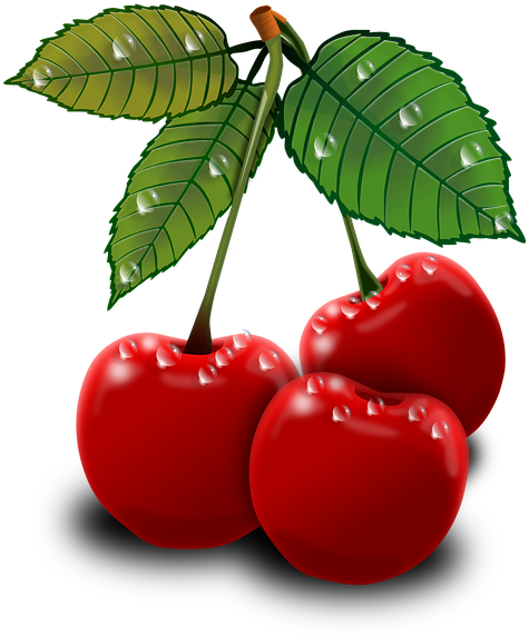 Read It - Art Cherry Png (538x640), Png Download
