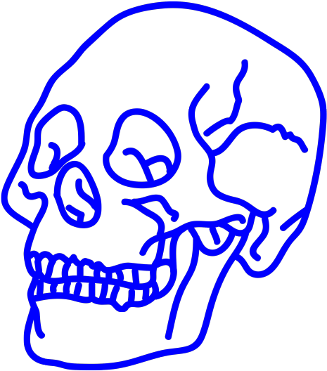 Transparent Skull - Skull (500x546), Png Download