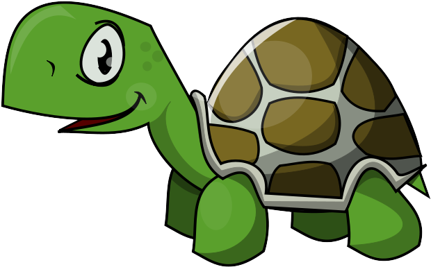 High Resolution Turtle - Turtle Clipart (640x480), Png Download