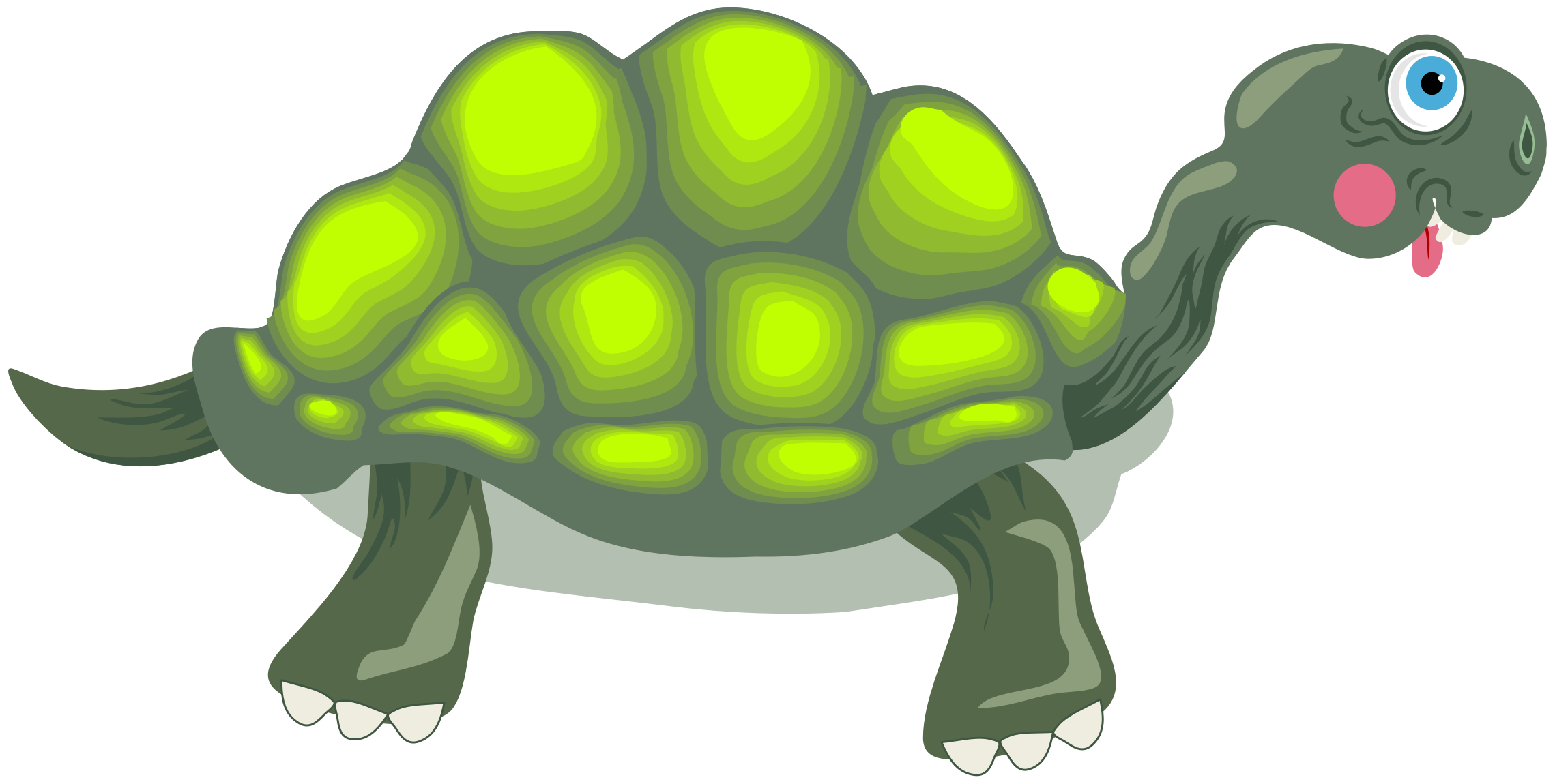 This Free Icons Png Design Of Tortoise Cartoon (2279x1150), Png Download