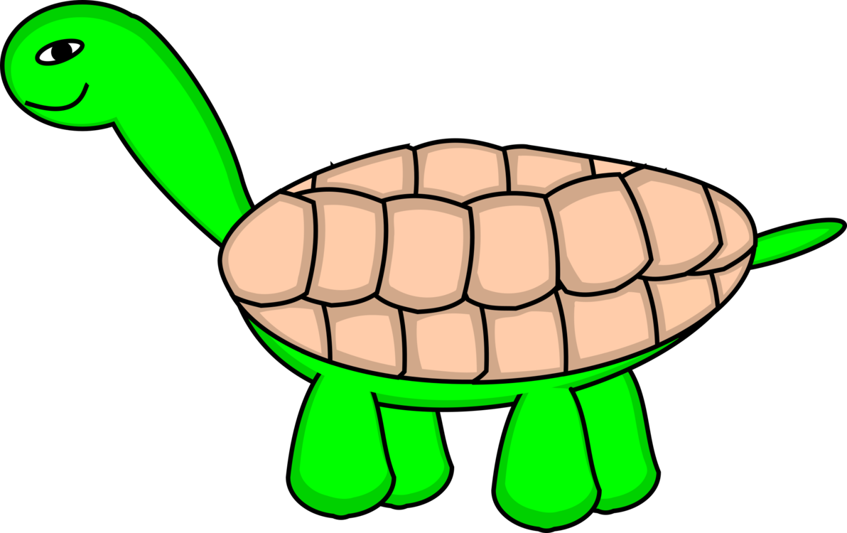Tortoise Stage 6 Final Clipart Png (600x377), Png Download
