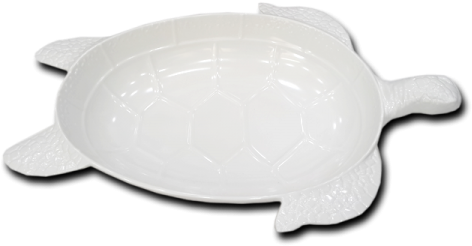 Tortoise Platter Png - Olive Ridley Sea Turtle (600x600), Png Download